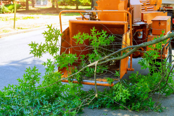 Best Affordable Tree Service  in State College, PA